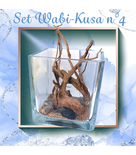 Set DIY Wabi Kusa n°4  -Virgin River - série limitée