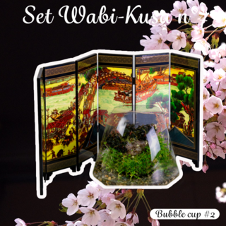 Set DIY Wabi Kusa n°7  - mon mini jardin aquatique