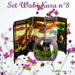 Set DIY Wabi Kusa n°8  - mon mini jardin aquatique