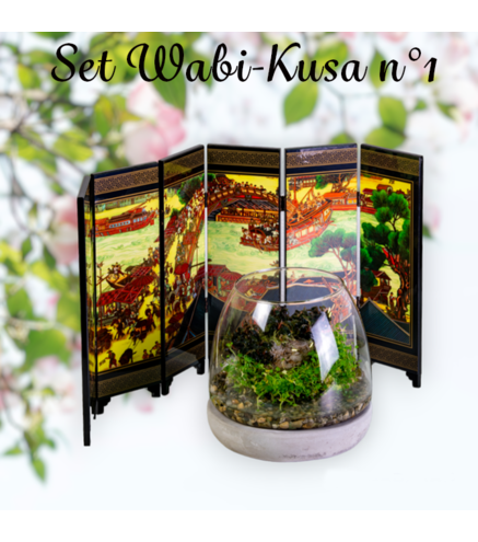 Set DIY Wabi Kusa n°1  - mon mini jardin aquatique