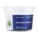 Glossostigma elatinoides In-Vitro - plante aquarium