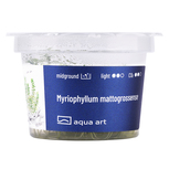 Myriophyllum mattogrossense in vitro