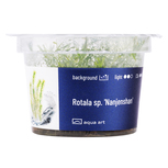 Rotala sp. 'Nanjenshan' in vitro