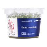 Rotala Rotundifolia in-vitro