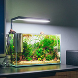 FLAT Nano Silver 15 W - The Planted Aquarium Lighting