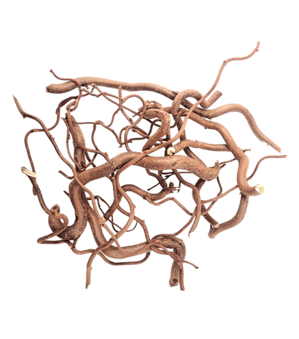 Lot de Racines Twisted Roots (80Gr)