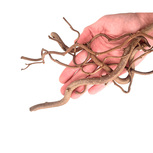 Lot de Racines Twisted Roots (80Gr)