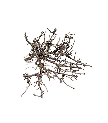 Dry Tree -  arbre support env. Ø10cm | Taille S