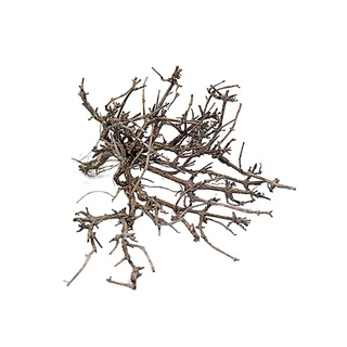 Dry Tree -  arbre support env. Ø10cm | Taille S