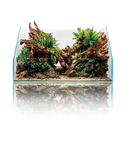 UNS Paludarium 60E (60*36*13,5cm)