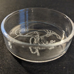 Coupelle de nourrissage en verre pour crevettes diam. 5.5cm