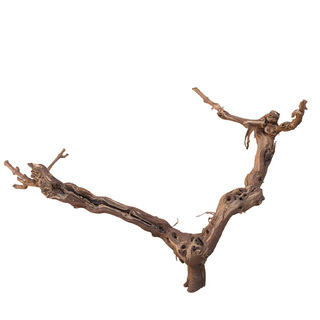Racine de Curl wood  pièce (AMP4) | Dragon root 64x45x27 cm
