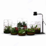 BIOLOARK Luji Glass Cup -MY-120H