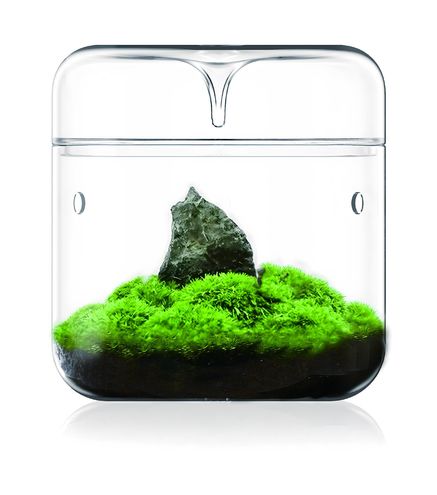 BIOLOARK Luji Glass Cup MY-150