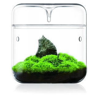 BIOLOARK Luji Glass Cup MY-150