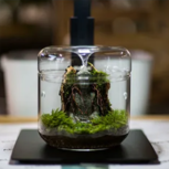 BIOLOARK Luji Glass Cup -MY-120H