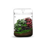 BIOLOARK Luji Glass Cup -MY-120H