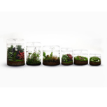 BIOLOARK Luji Glass Cup -MY-120H