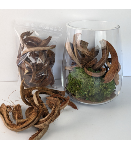 Lot de 10 Ecorces de Coco Curl