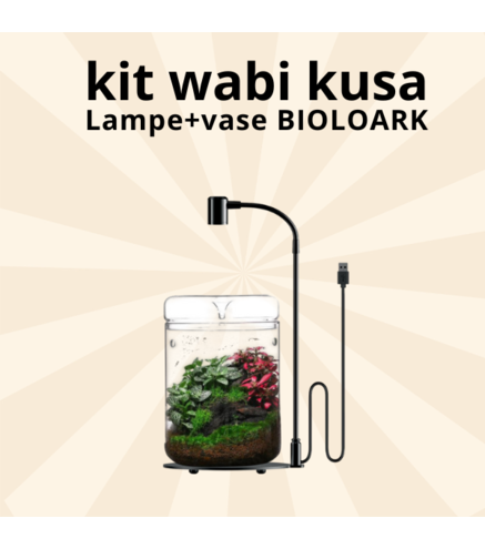 Kit wabi kusa  Luji Glass Cup -MY-120H + Lampe | BIOLOARK