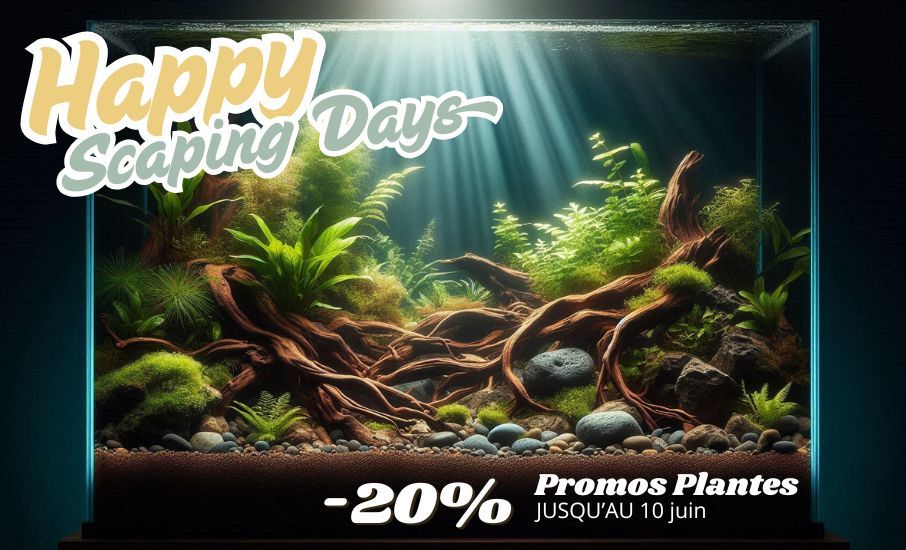 happy scaping days