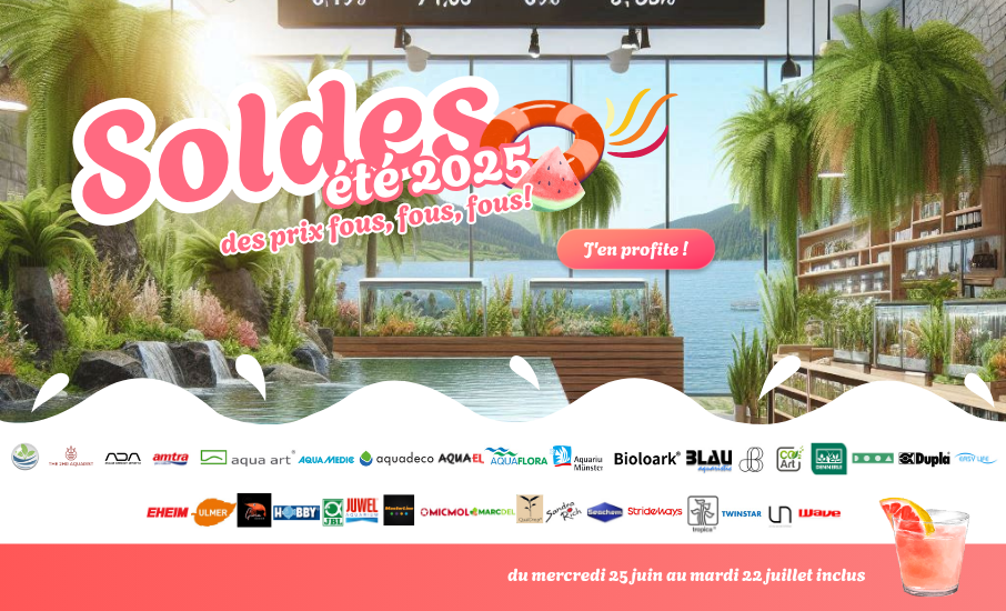 soldes d'été 2025