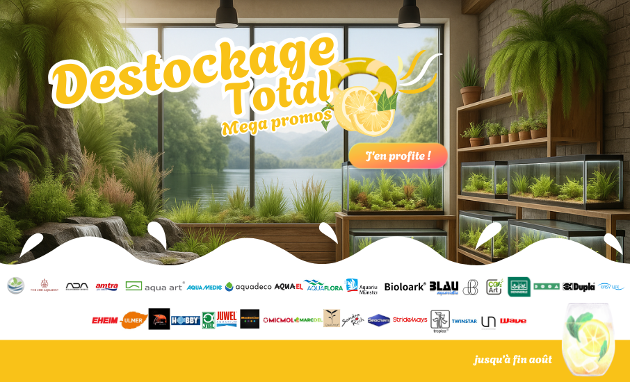 destockage