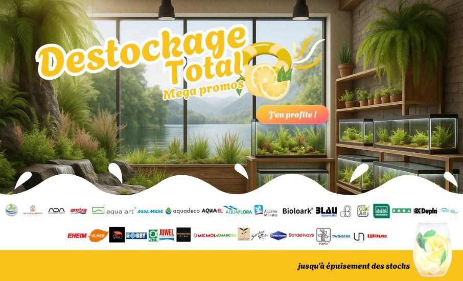 destockage 25