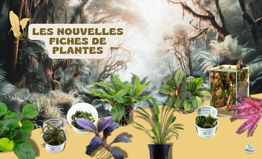 paiement plusieurs fois