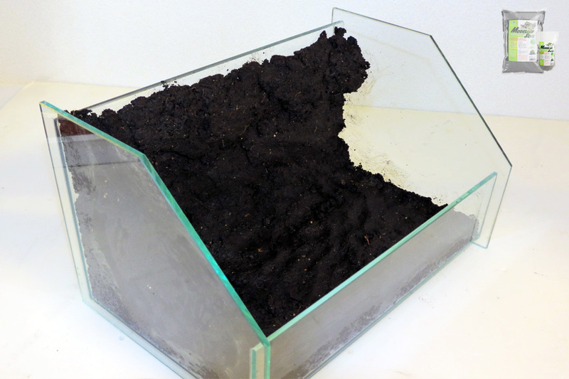 Modeling Soil 1L Substrat à modeler pour Wabi Kusa et murs végétaux