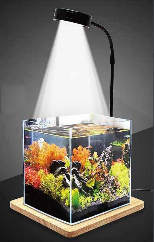 Micmol - Lampes design pour aquariums, nano et Wabi Kusa