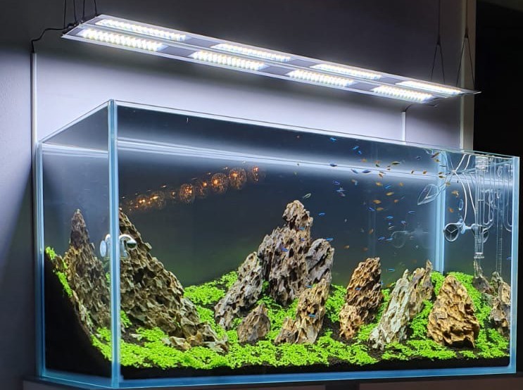 Lampe pour aquariums Micmol