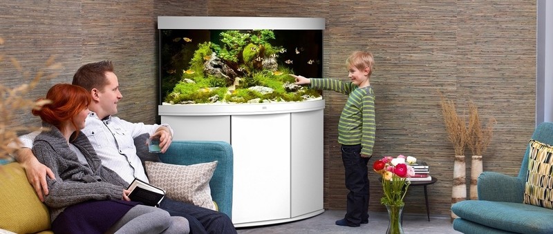 Aquarium Trigon blanc 190 juwel avec meuble