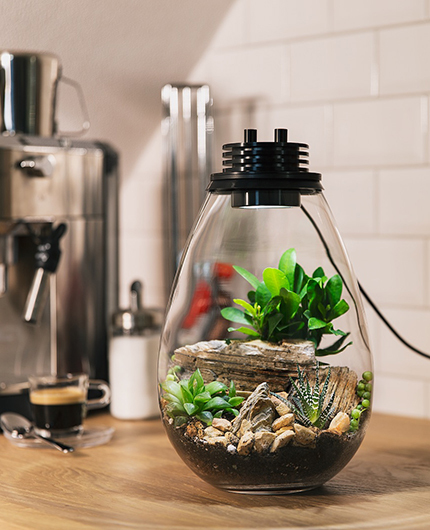 Baiosphère - Lampe terrarium design