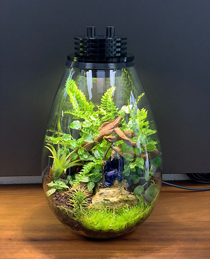 Baiosphère - Lampe terrarium design