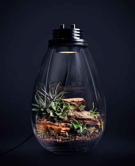 Baiosphère - Lampe terrarium design