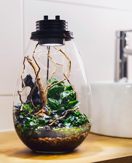 Baiosphère - Lampe terrarium design