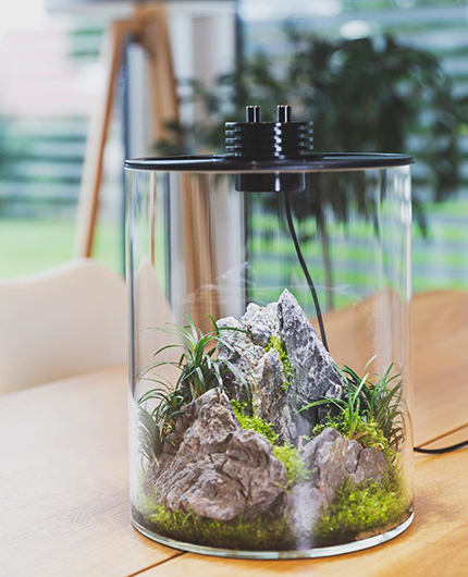 Baiosphère - Lampe terrarium design