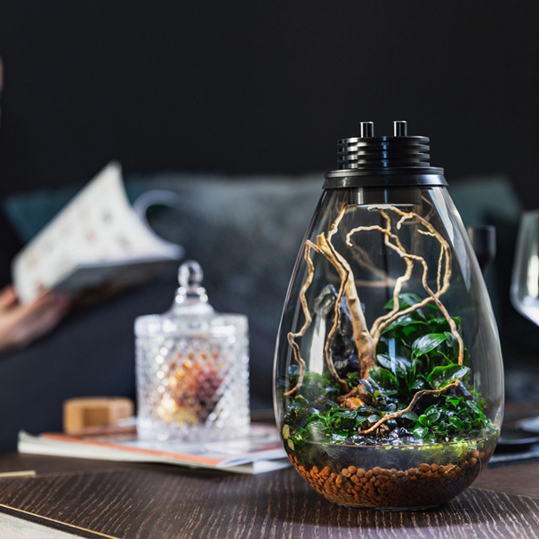 Baiosphère - Lampe Terrarium ou Wabi Kusa La nouvelle idée design pour  votre intérieur !