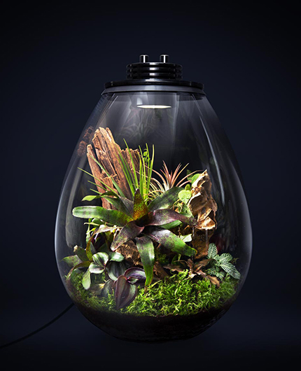 Baiosphère - Lampe terrarium design