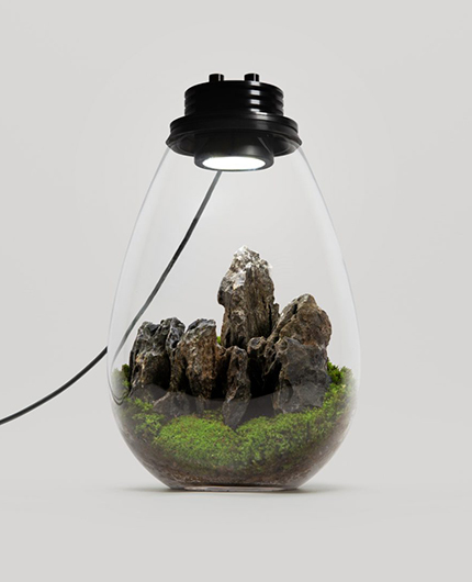 Baiosphère - Lampe terrarium design