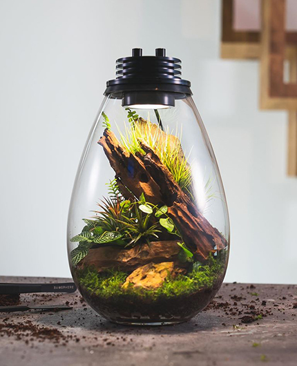 Baiosphère - Lampe terrarium design