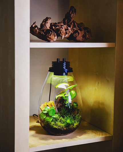 Baiosphère - Lampe terrarium design