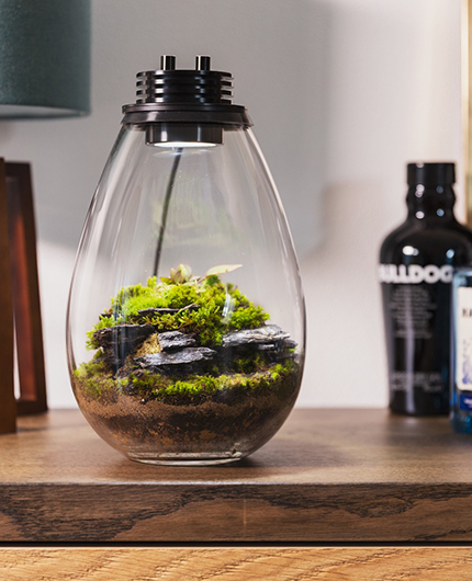 Baiosphère - Lampe terrarium design