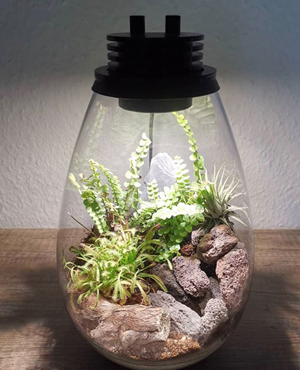 Baiosphère - Lampe terrarium design