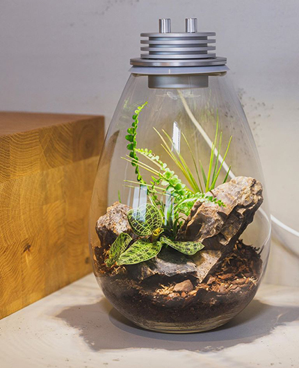 Baiosphère - Lampe terrarium design