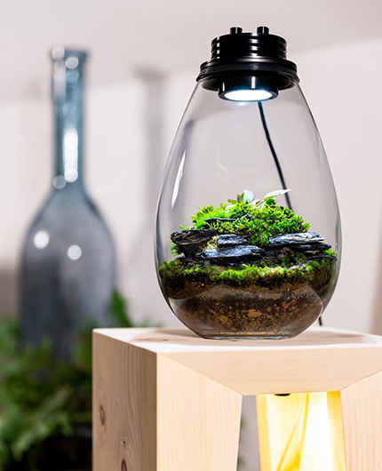 Baiosphère - Lampe terrarium design