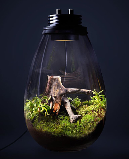 Baiosphère - Lampe terrarium design