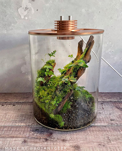 Baiosphère - Lampe terrarium design