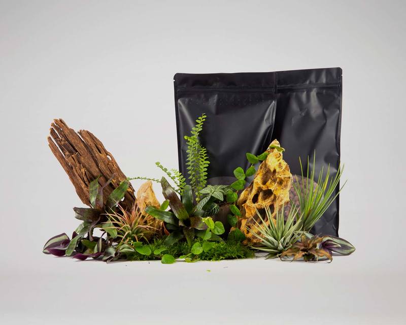 Rainforest kit original pour Baiosphere lampe terrarium